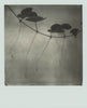 Wondering People_Polaroid VIII_1
