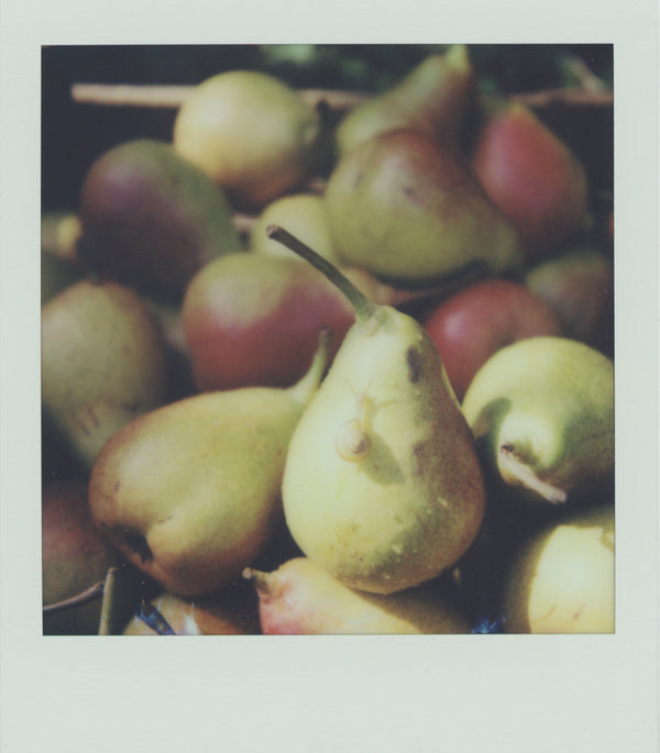 Wondering People_Polaroid IX_9
