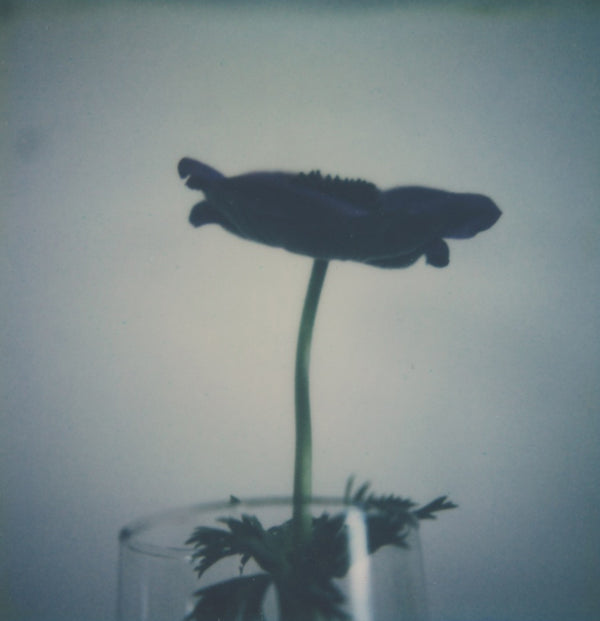 Wondering People_Polaroid #9_9