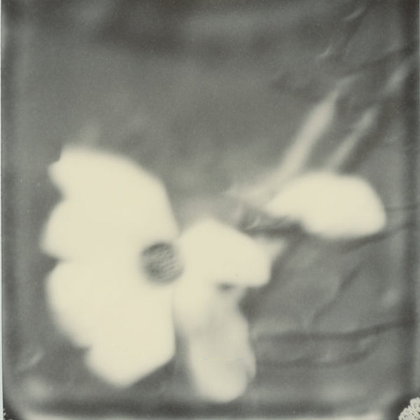 Wondering People_Polaroid #10_1