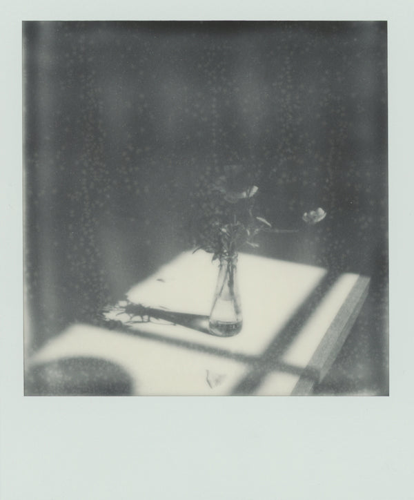 Wondering People_Polaroid X_10
