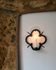 Wondering People_Quatrefoil IV_1