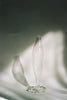 Wondering People_Vase_581