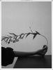 Wondering People_Hand as Vessel_1