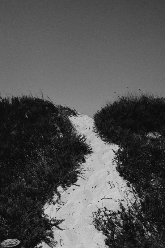 Wondering People_Roots, Routes_15