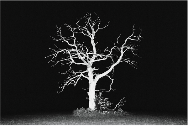 Wondering People_Night Time Nude_15