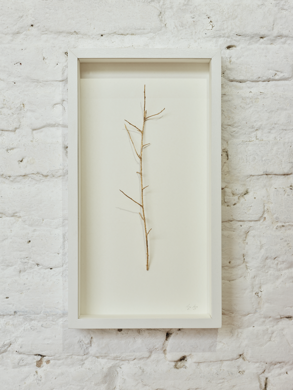 Wondering People_Made To Be Seen_17