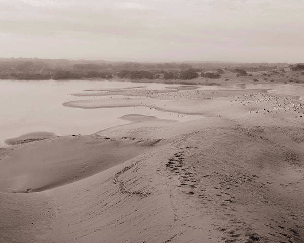 Wondering People_Early In The Morning_16