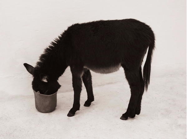 Wondering People_Da Tessa_17