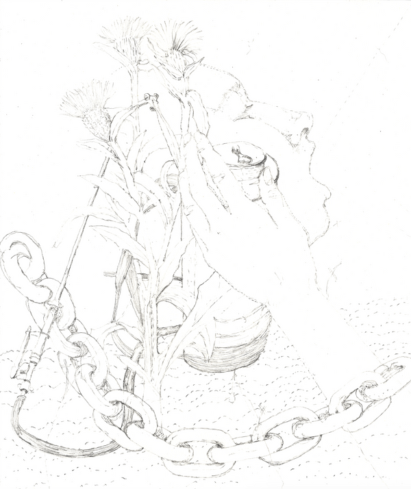 Wondering People_Wayside Flowers_11