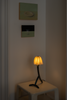 Wondering People_Tripod Table Lamp_3