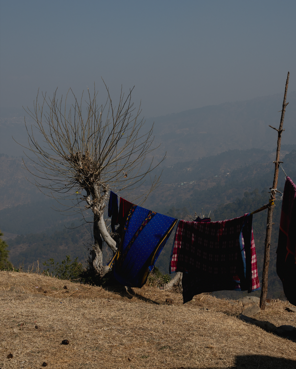 Wondering People_Horizon, 2024_2