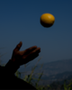 Wondering People_A Lemon, 2024_19