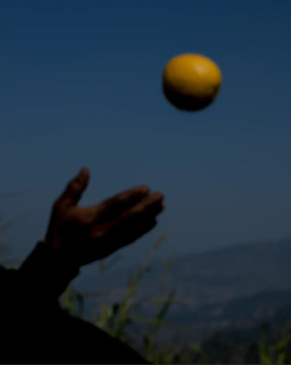 Wondering People_Abhishek Khedekar