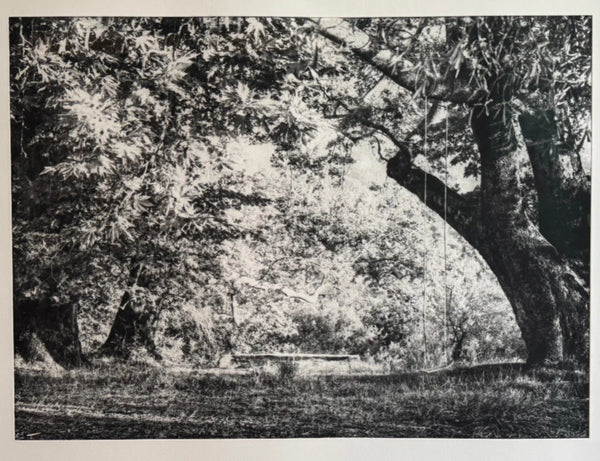 Wondering People_Lottie Hampson