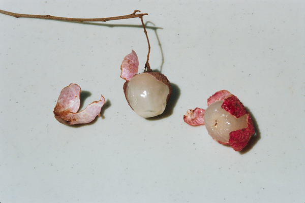 Wondering People_Tutti Frutti_2