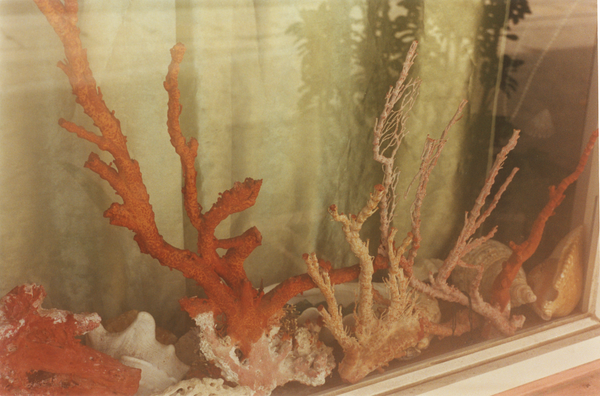 Wondering People_Palau_1