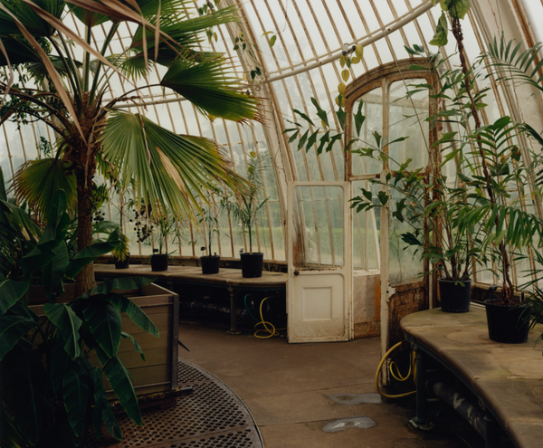 Wondering People_Kew II_8