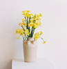 Wondering People_Small Wavy Tulipiere, Six Spouted - Off White_1