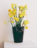Wondering People_Small Wavy Tulipiere, Six Spouted - Black_1