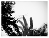 Wondering People_Archie's Pet Dragonfly_1