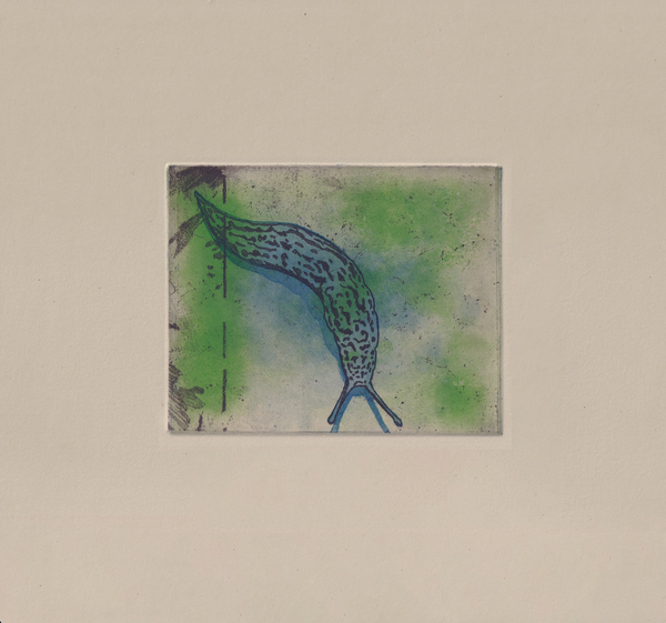 Wondering People_Great Grey (Blue, Green)_44