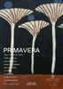 Wondering People_PRIMAVERA AT SOPHIE BREITMEYER