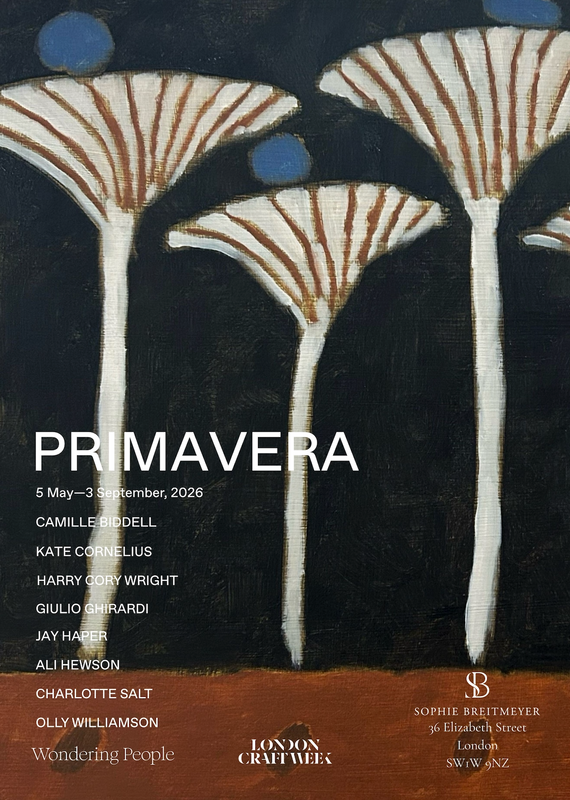 Wondering People_PRIMAVERA AT SOPHIE BREITMEYER