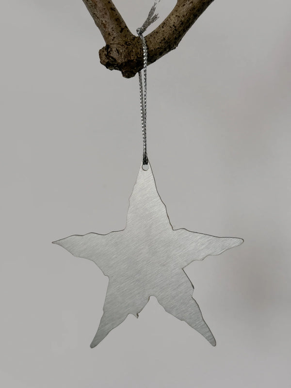 Wondering People_The Star_3