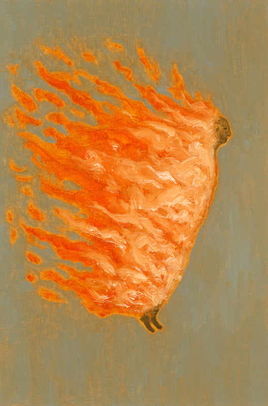 Wondering People_Strange Comet_5