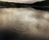 Wondering People_The Stone_1