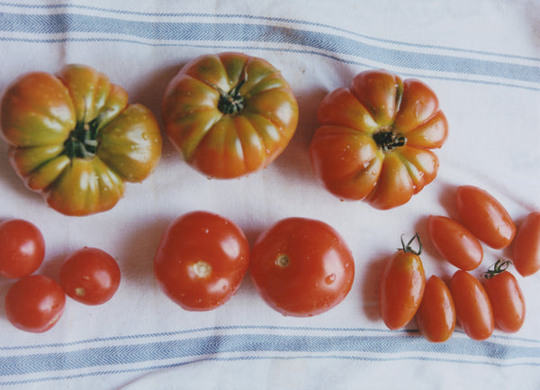 Wondering People_Tomatoes_11