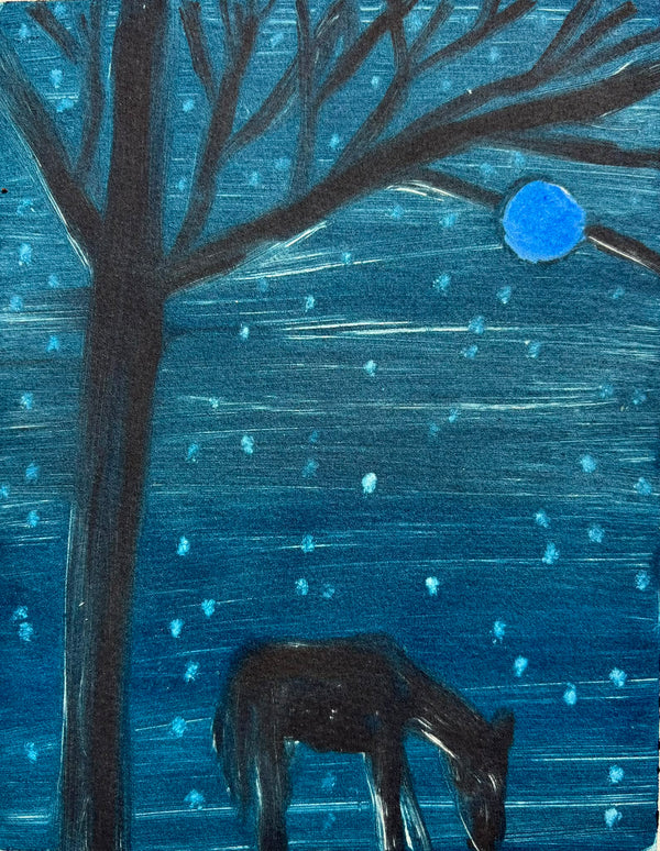 Wondering People_Night Forest_26