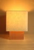 Wondering People_Barragán Lamp (Terracotta)_2