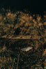 Wondering People_Basking_120