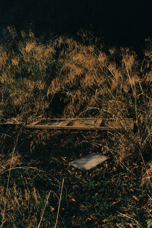 Wondering People_Basking_30