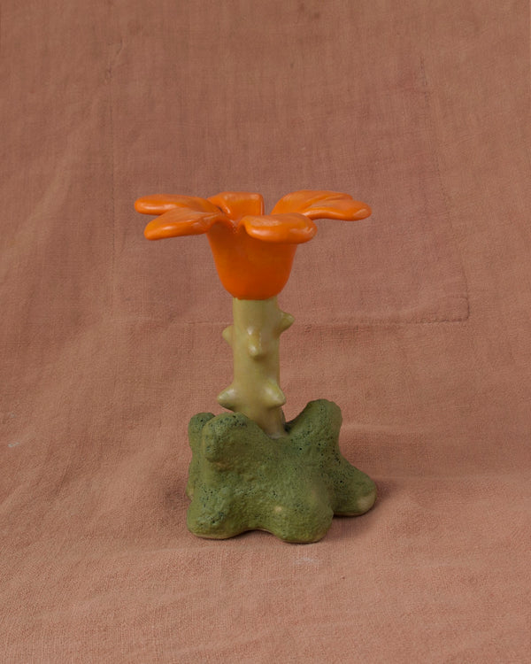 Wondering People_Bryum_41