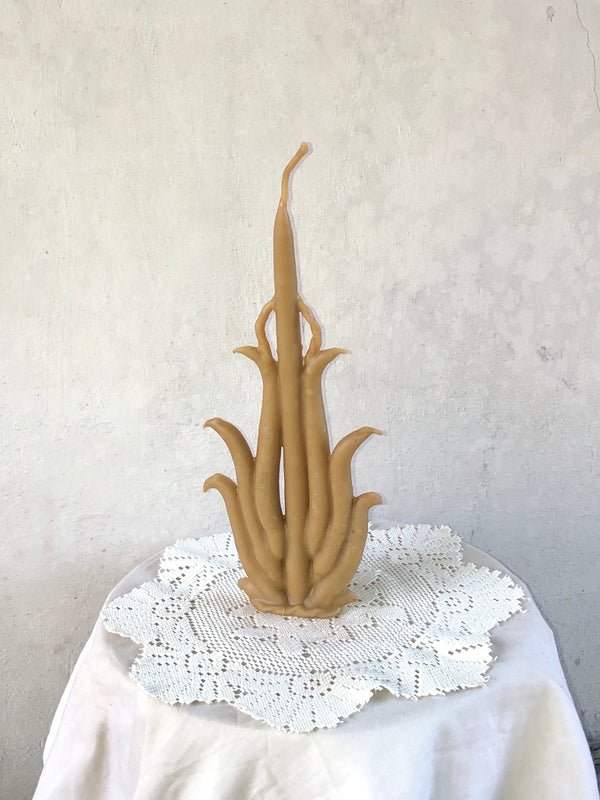 Wondering People_Dormancy Candle_38