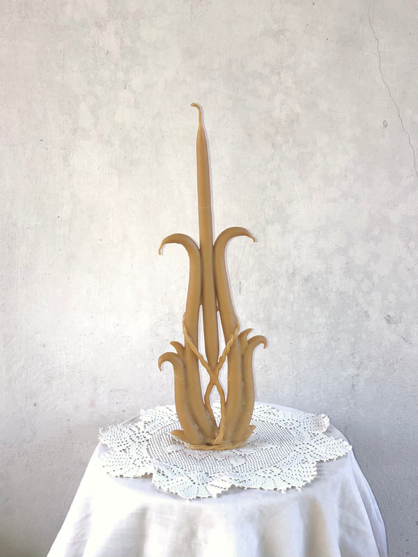 Wondering People_Sprouting Candle_17