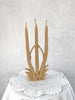 Wondering People_Tillering Candle_387