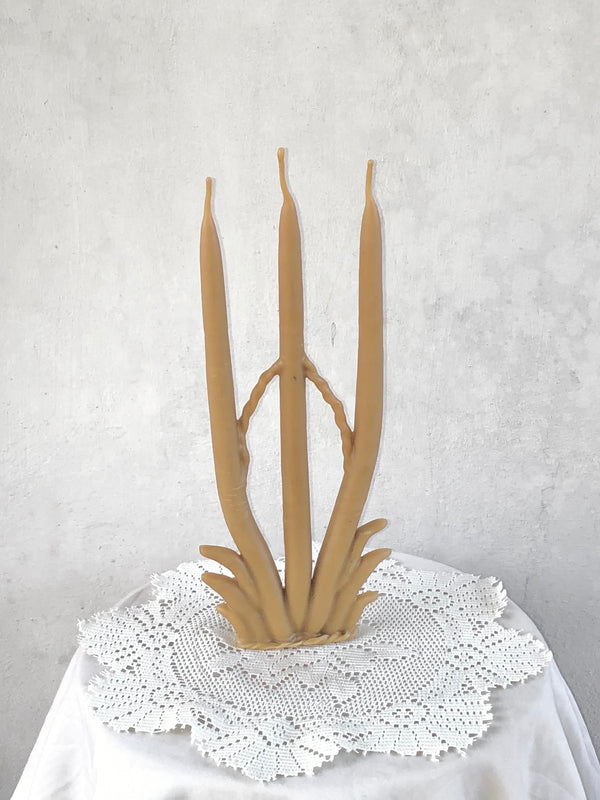 Wondering People_Tillering Candle_14