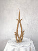 Wondering People_Dispersion Candle_368