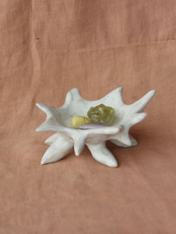 Wondering People_Diadema_28