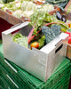 Wondering People_Metal Crate_4