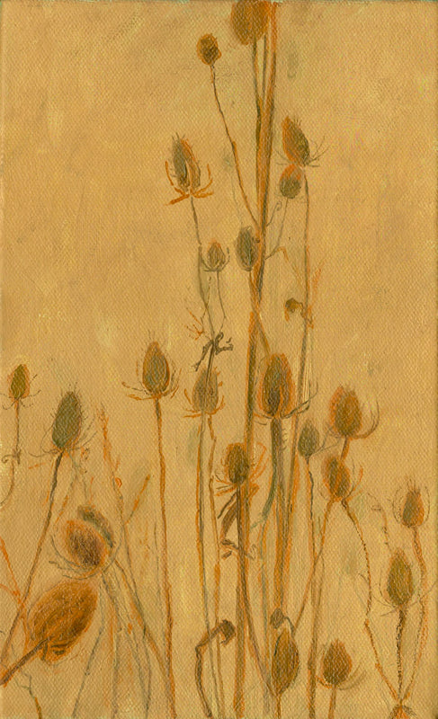 Wondering People_Teasles_16