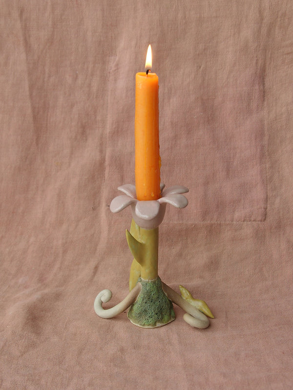 Wondering People_Mallow_30