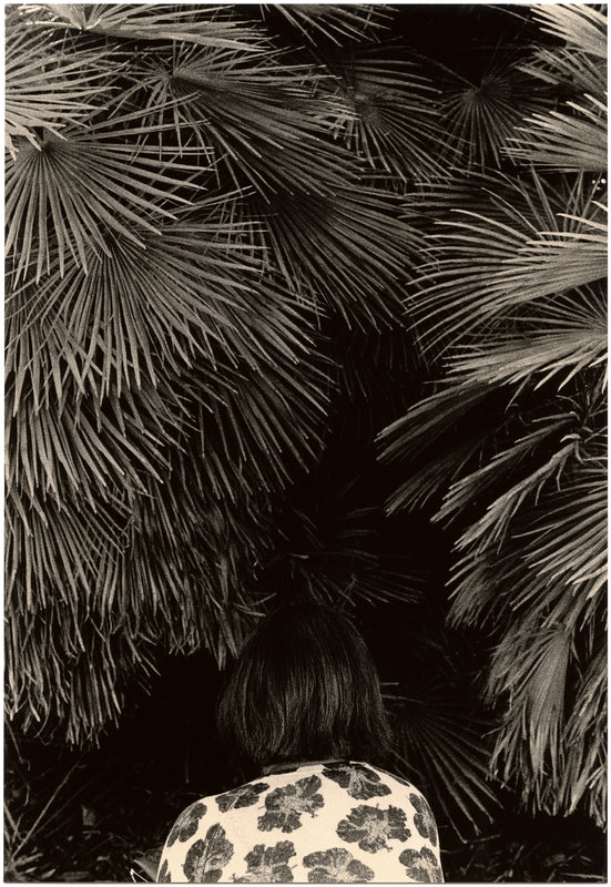 Wondering People_Untitled (Foliage)_46