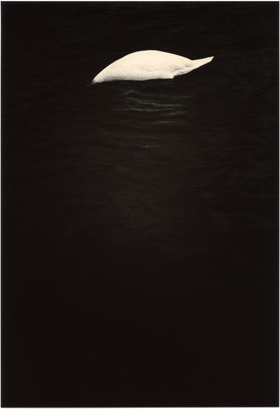 Wondering People_Untitled (Swan)_3