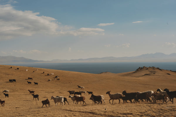 Wondering People_Moving On_1