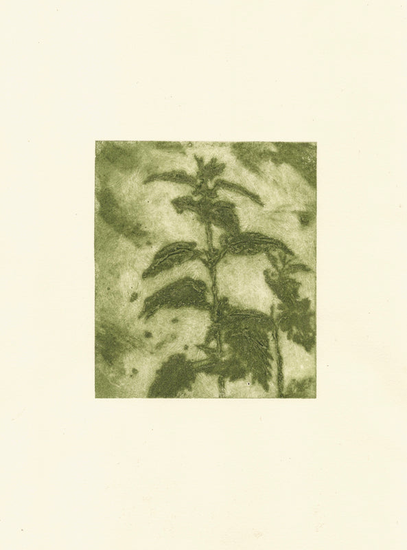 Wondering People_Nettles_20